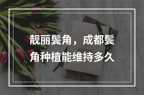 靓丽鬓角，成都鬓角种植能维持多久