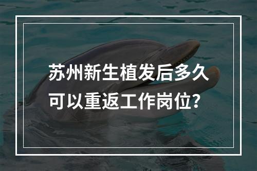 苏州新生植发后多久可以重返工作岗位？