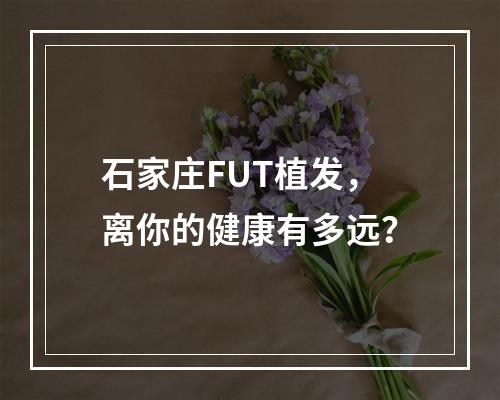 石家庄FUT植发，离你的健康有多远？