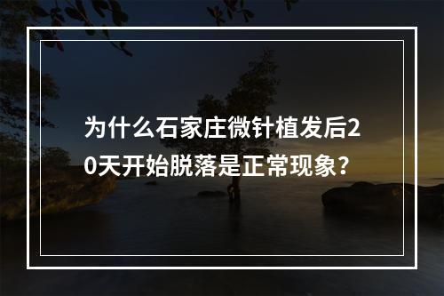 为什么石家庄微针植发后20天开始脱落是正常现象？