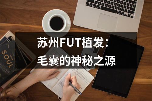 苏州FUT植发：毛囊的神秘之源