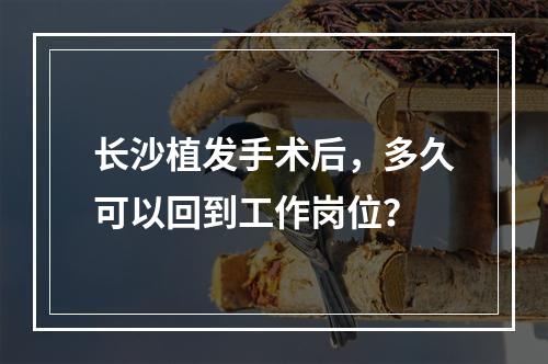 长沙植发手术后，多久可以回到工作岗位？