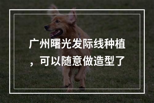 广州曙光发际线种植，可以随意做造型了