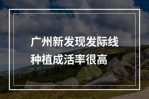 广州新发现发际线种植成活率很高