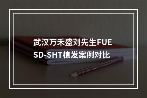 武汉万禾盛刘先生FUE SD-SHT植发案例对比