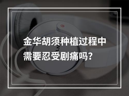 金华胡须种植过程中需要忍受剧痛吗？