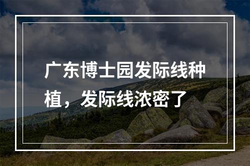 广东博士园发际线种植，发际线浓密了