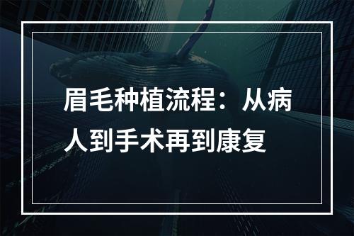 眉毛种植流程：从病人到手术再到康复