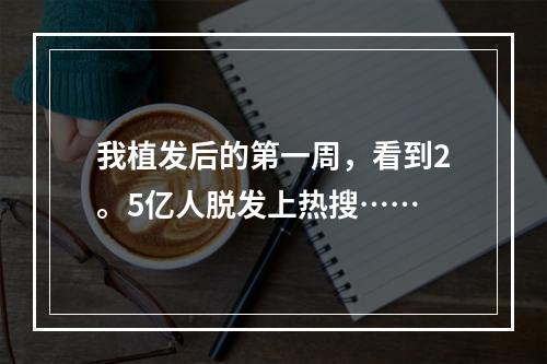 我植发后的第一周，看到2。5亿人脱发上热搜……