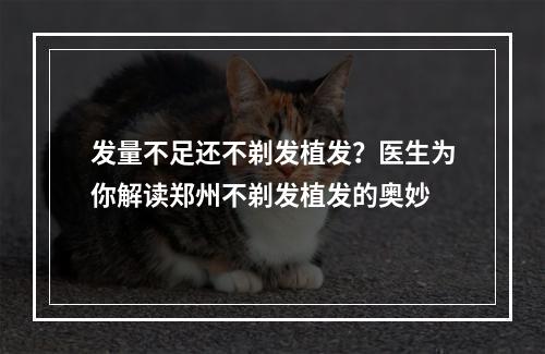 发量不足还不剃发植发？医生为你解读郑州不剃发植发的奥妙