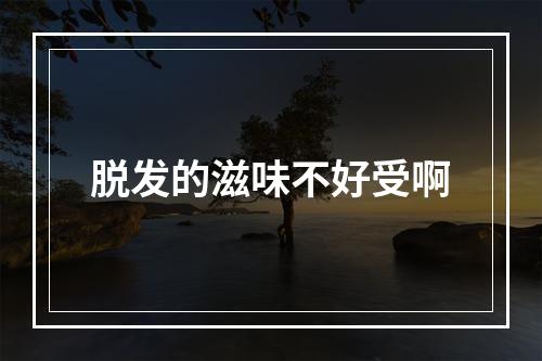 脱发的滋味不好受啊