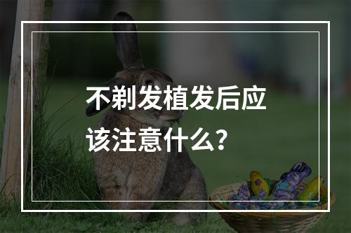 不剃发植发后应该注意什么？