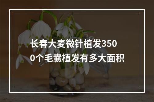 长春大麦微针植发3500个毛囊植发有多大面积