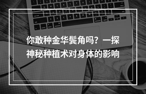 你敢种金华鬓角吗？一探神秘种植术对身体的影响