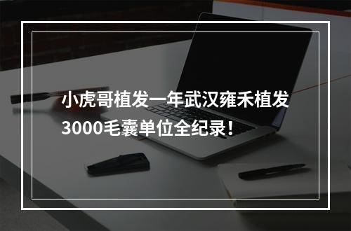 小虎哥植发一年武汉雍禾植发3000毛囊单位全纪录！