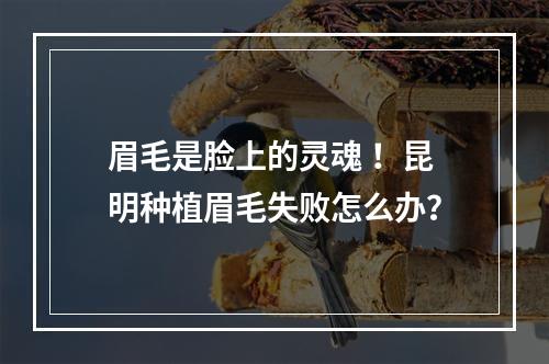 眉毛是脸上的灵魂 ！昆明种植眉毛失败怎么办？