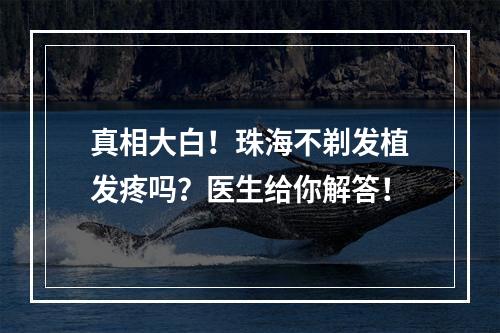 真相大白！珠海不剃发植发疼吗？医生给你解答！