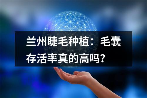 兰州睫毛种植：毛囊存活率真的高吗？