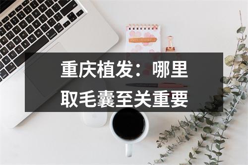 重庆植发：哪里取毛囊至关重要