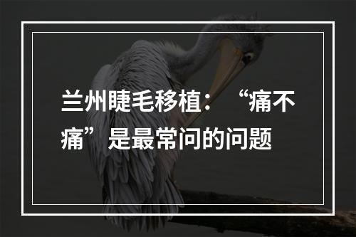 兰州睫毛移植：“痛不痛”是最常问的问题