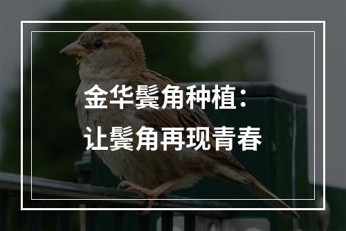 金华鬓角种植：让鬓角再现青春