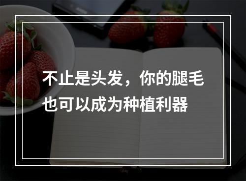 不止是头发，你的腿毛也可以成为种植利器