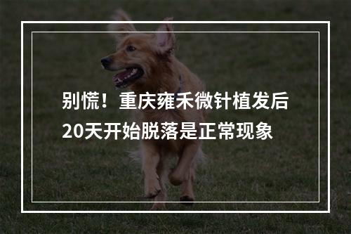 别慌！重庆雍禾微针植发后20天开始脱落是正常现象