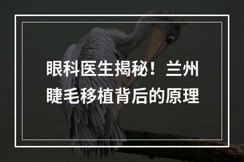 眼科医生揭秘！兰州睫毛移植背后的原理