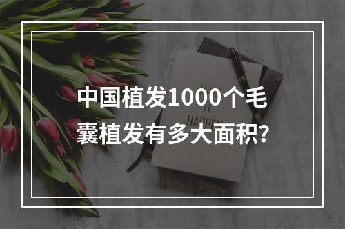 中国植发1000个毛囊植发有多大面积？