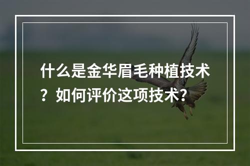 什么是金华眉毛种植技术？如何评价这项技术？