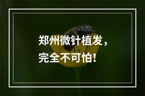 郑州微针植发，完全不可怕！