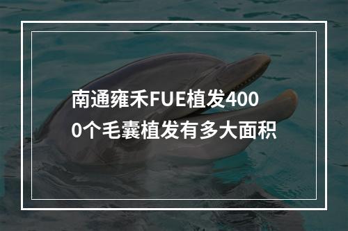 南通雍禾FUE植发4000个毛囊植发有多大面积