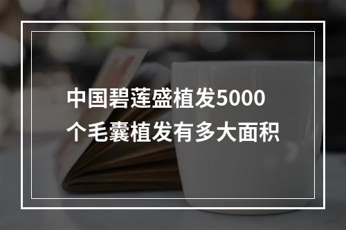 中国碧莲盛植发5000个毛囊植发有多大面积