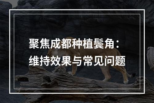 聚焦成都种植鬓角：维持效果与常见问题