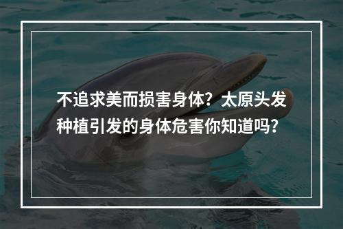 不追求美而损害身体？太原头发种植引发的身体危害你知道吗？