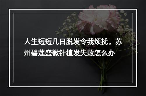 人生短短几日脱发令我烦扰，苏州碧莲盛微针植发失败怎么办