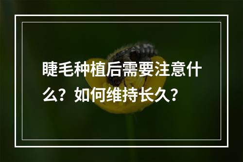 睫毛种植后需要注意什么？如何维持长久？