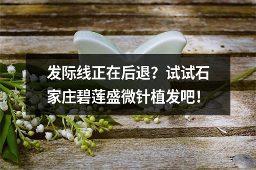 发际线正在后退？试试石家庄碧莲盛微针植发吧！