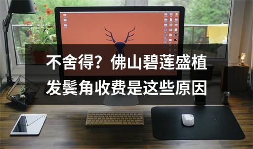 不舍得？佛山碧莲盛植发鬓角收费是这些原因