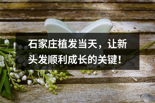 石家庄植发当天，让新头发顺利成长的关键！