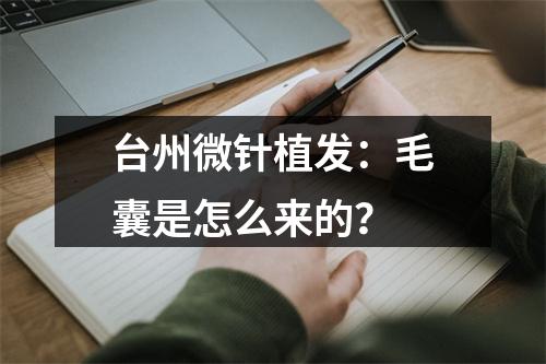 台州微针植发：毛囊是怎么来的？