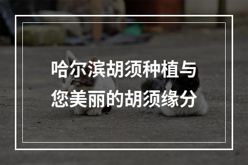 哈尔滨胡须种植与您美丽的胡须缘分