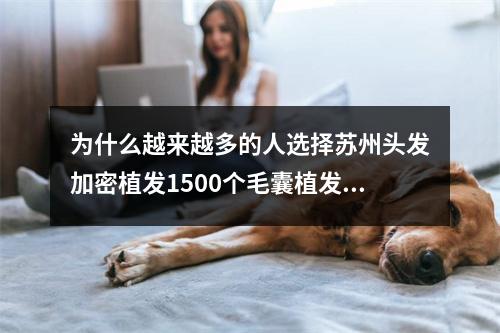 为什么越来越多的人选择苏州头发加密植发1500个毛囊植发？