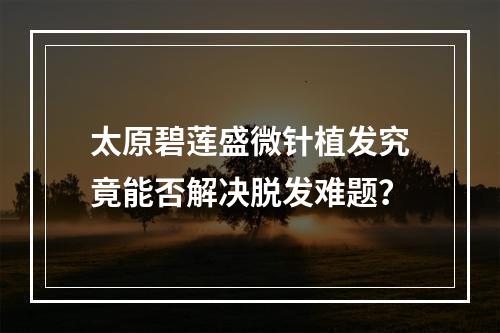 太原碧莲盛微针植发究竟能否解决脱发难题？