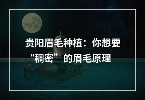 贵阳眉毛种植：你想要“稠密”的眉毛原理