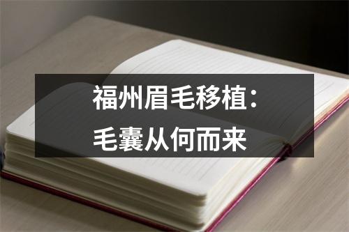 福州眉毛移植：毛囊从何而来