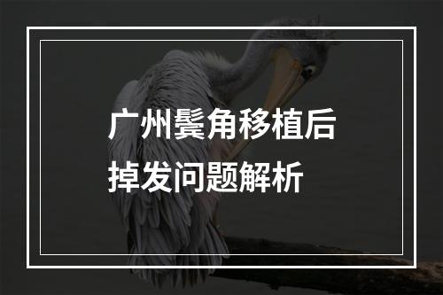 广州鬓角移植后掉发问题解析