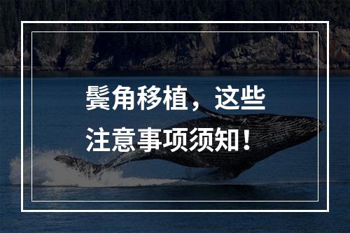 鬓角移植，这些注意事项须知！