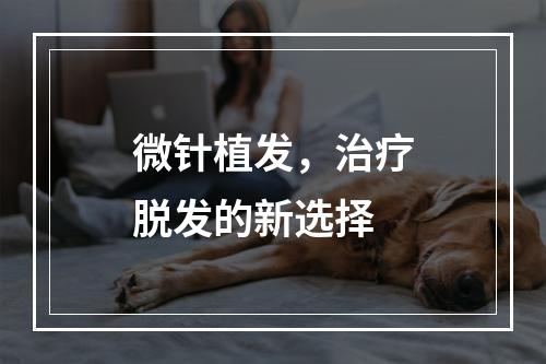 微针植发，治疗脱发的新选择