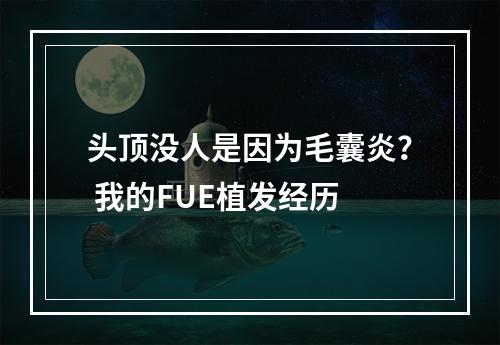 头顶没人是因为毛囊炎？ 我的FUE植发经历